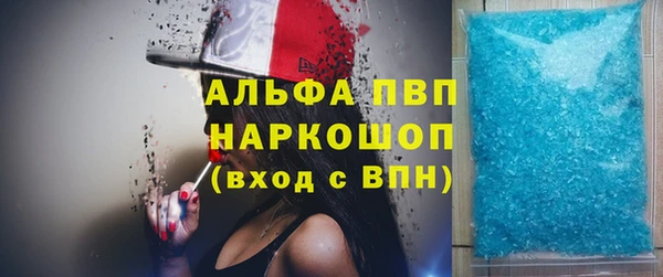 индика Верея