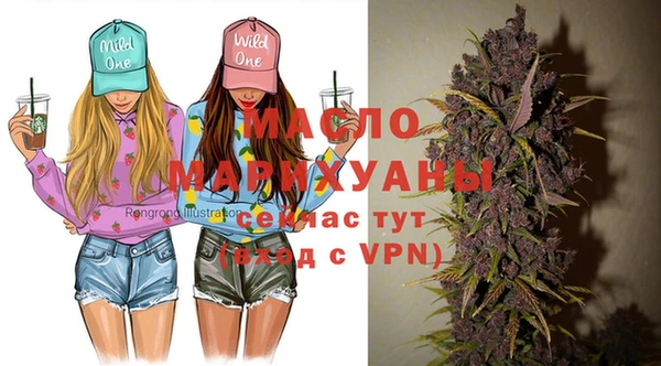 индика Верея