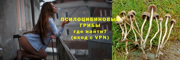 индика Верея