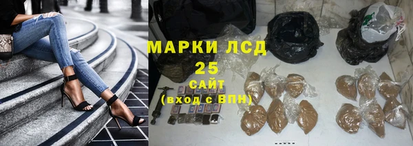 индика Верея
