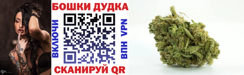Канабис план  Северск 